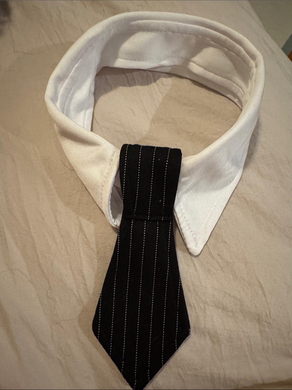 Detachable White Collar with Black Pinstripe Tie